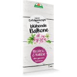 Unser Erfolgsrezept für blühende Balkone