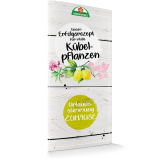 Unser Erfolgsrezept für vitale Kübelpflanzen