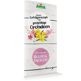 Unser Erfolgsrezept für prächtige Orchideen