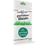 Unser Erfolgsrezept für perfekten Rasen