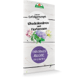 Unser Erfolgsrezept für Rhododendren und Hortensien