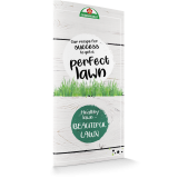 Our recipe for success to get a perfect lawn