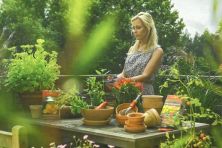 Markt in Grün - 10/2018