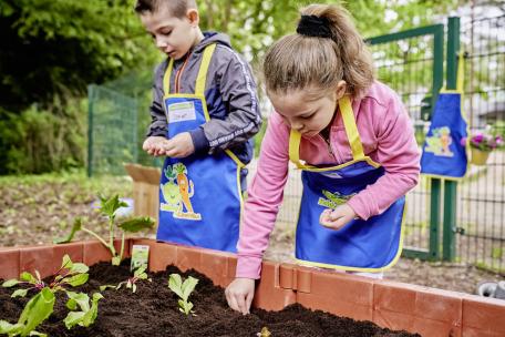 Gemüsebeete für Kids