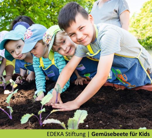 Gemüsebeete für Kids