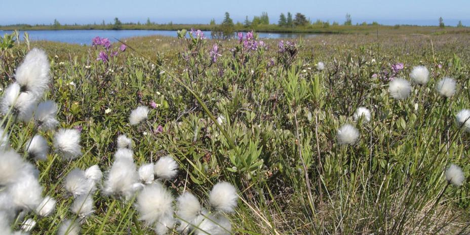 OUR COMMITMENT TO NATURE