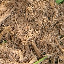 Loosening wood fiber