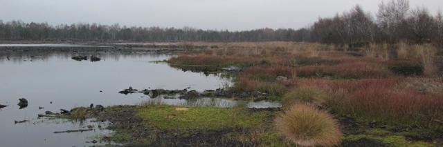 RESPONSIBLE USE OF NATURE AND RESOURCES