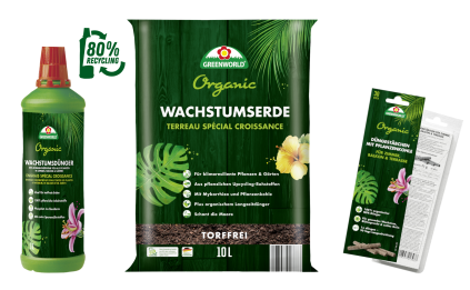 Nachhaltig verpackt!