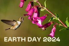 Tag der Erde 2024: wir fördern Biodiversität im Garten